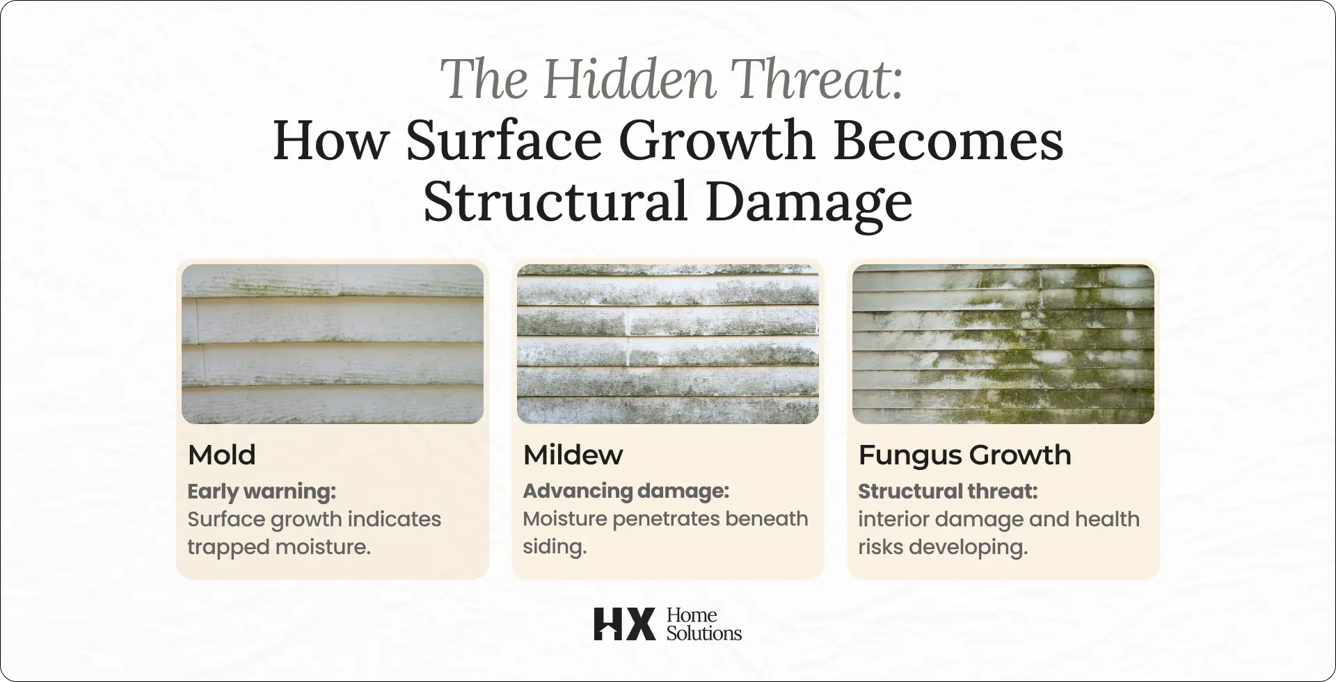Moisture Damage on Vinyl Siding