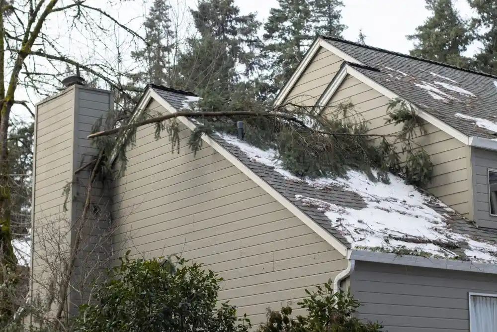 Winter Installation: When It Makes Sense and When to Avoid
